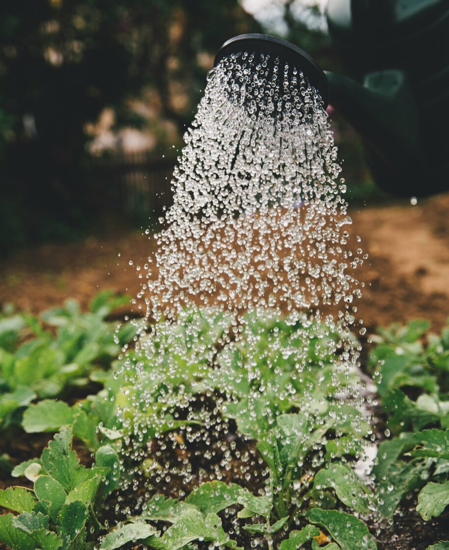 portal Prinos, портал Принос