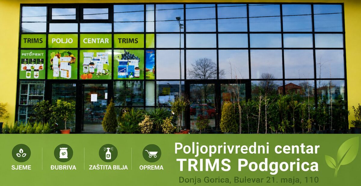 baner_trims-3.jpg
