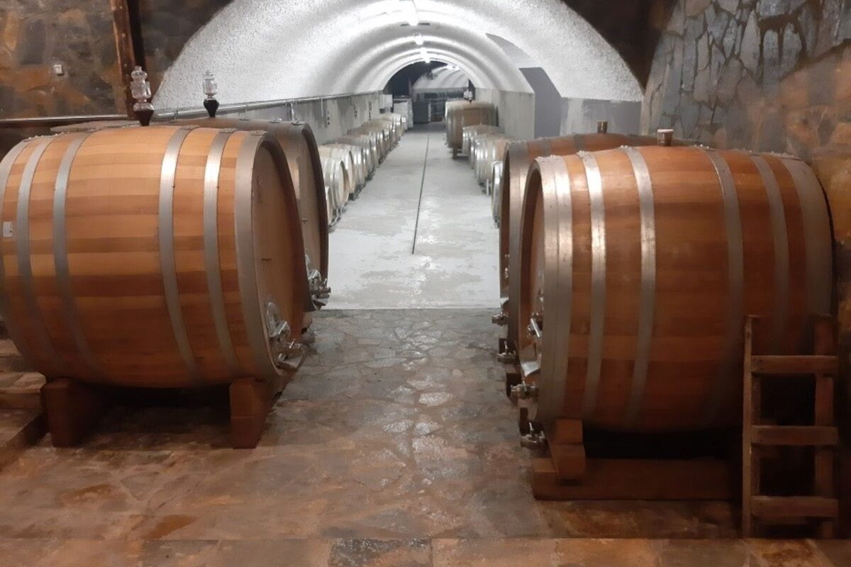 vino