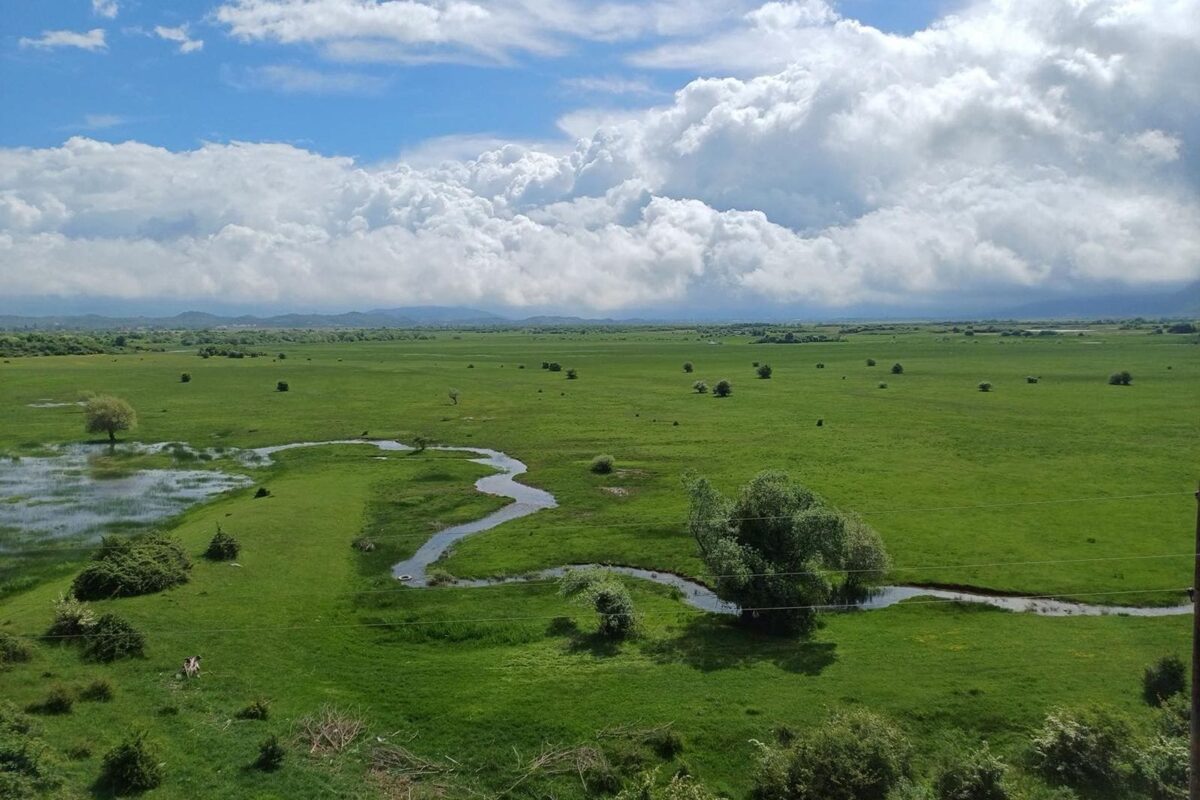 скадарско језеро