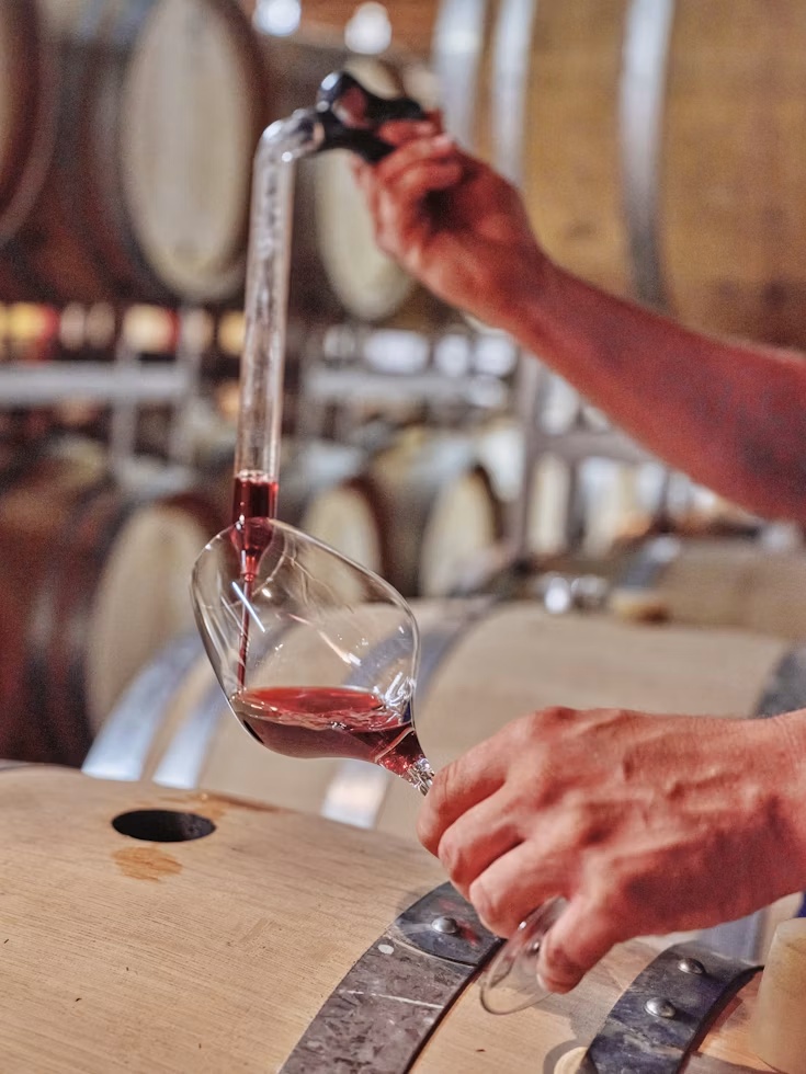 vino
